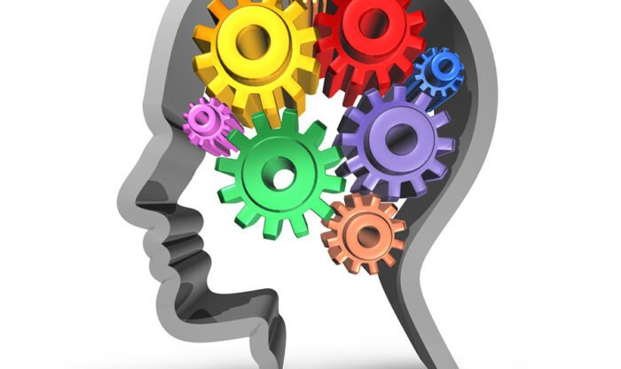 4f228e3a-9649-4642-85c0-412488a80728